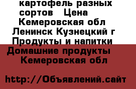 картофель разных сортов › Цена ­ 20 - Кемеровская обл., Ленинск-Кузнецкий г. Продукты и напитки » Домашние продукты   . Кемеровская обл.